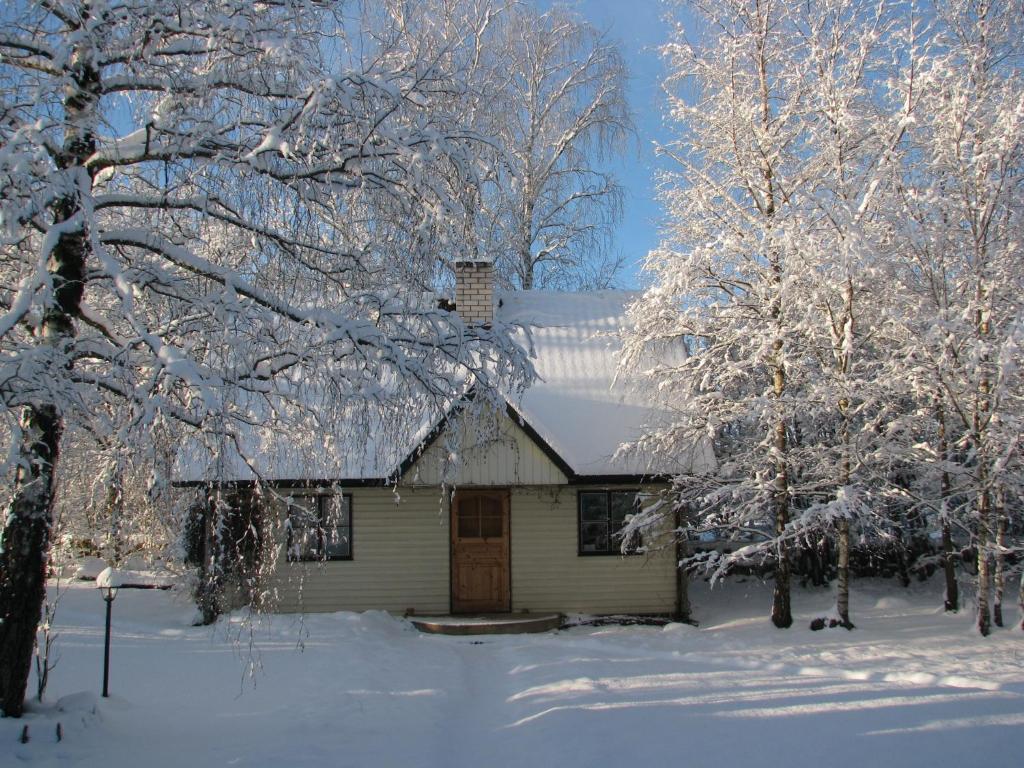 Tonise Holiday Houses Lilbi  Exterior foto